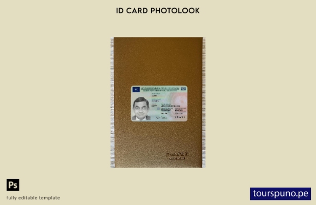 listo para imprimir tarjeta de identificación de Lituania presente plantilla fro